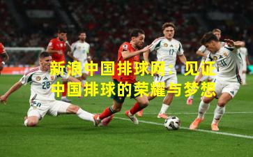 新浪中国排球网:见证中国排球的荣耀与梦想