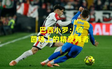 巴西小罗:绿茵场上的精灵舞者