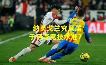 纳英戈兰究竟属于何等竞技水准？