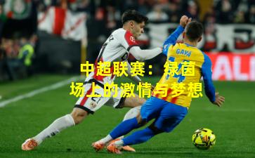 中超联赛：绿茵场上的激情与梦想